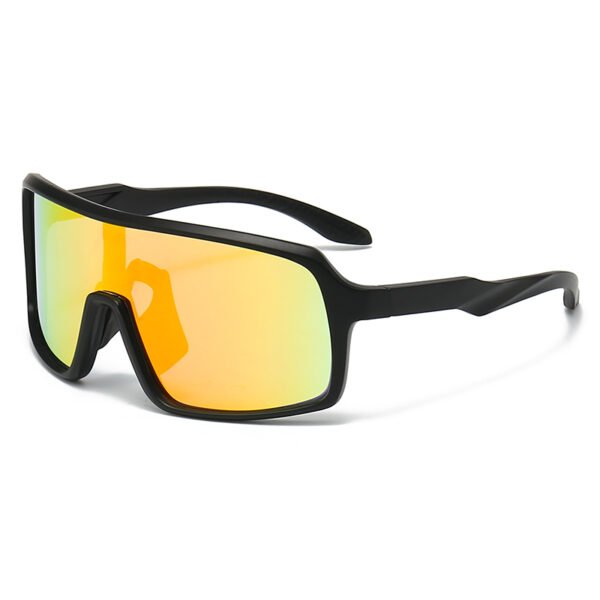Polarised Cycling Glasses