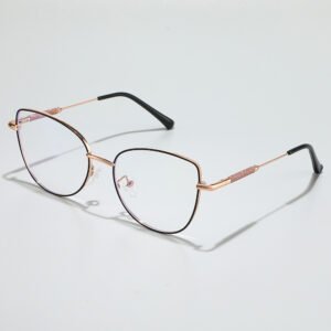 Black and gold stainless steel eyeglass frames